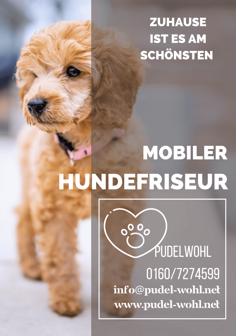 Hundefriseur Kempten